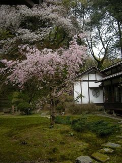 DSCN4365.jpg