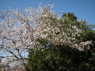 DSCN4389.jpg