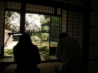 DSCN4403.jpg