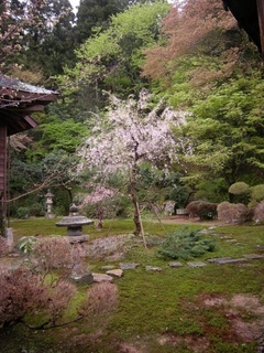 DSCN3980.jpg