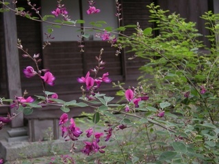 DSCN4050.jpg