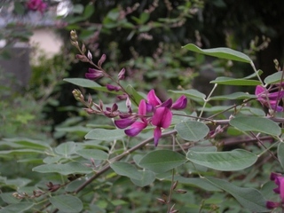 DSCN4054.jpg
