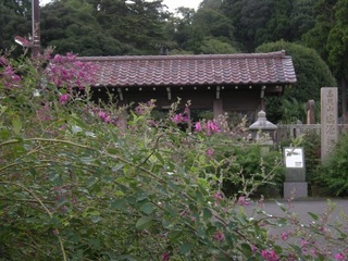 DSCN4065.jpg