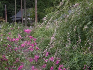 DSCN4068.jpg