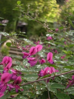 DSCN4072.jpg