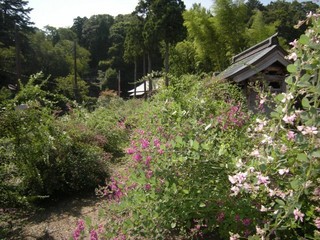 DSCN4080.jpg
