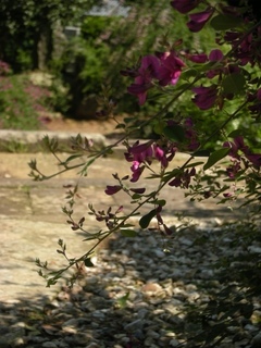 DSCN4085.jpg
