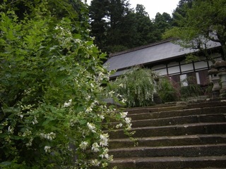 DSCN4090.jpg