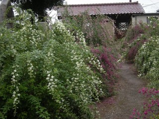 DSCN4091.jpg