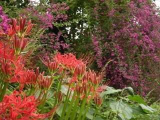 DSCN4097.jpg