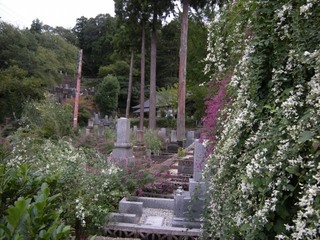 DSCN4104.jpg