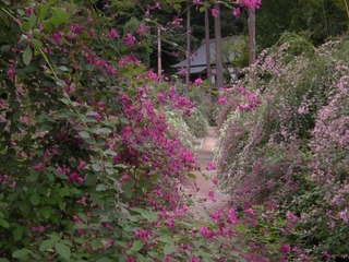 DSCN4107.jpg