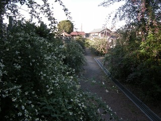 DSCN4126.jpg