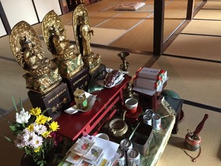IMG_2824.jpg