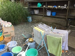 IMG_2834.jpg