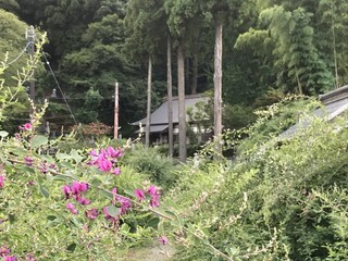 IMG_3830.jpg