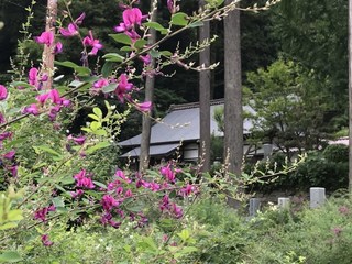 IMG_3884.jpg