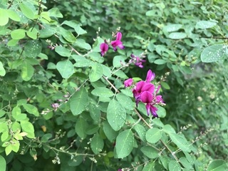 IMG_3902.jpg