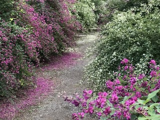 IMG_4053.jpg